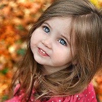 Wassim Ali