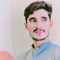 Syed Joun Abbas Shah