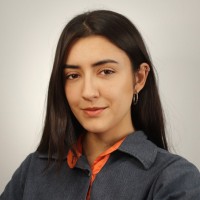 Ana Guimarães Lara