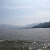 王启平