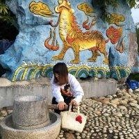 韦文敏