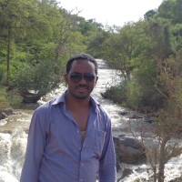 Tadesse Gurmu