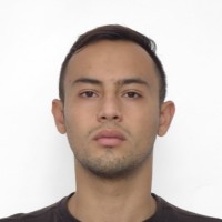 Nelson Felipe Vargas Alvarez