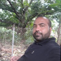 Waqar Ul Malik