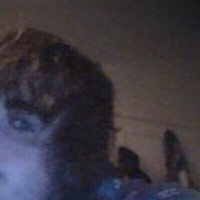 Professorgrunge The 1St