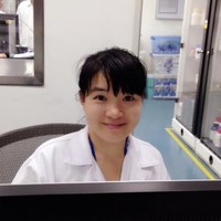 陈燕红