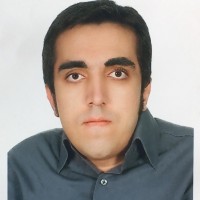 Meysam Madadi