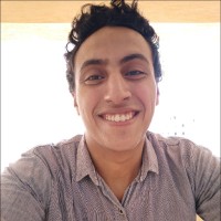 Mahmoud Abdelwahab