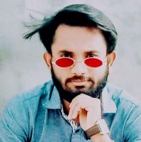 Monis Ansari