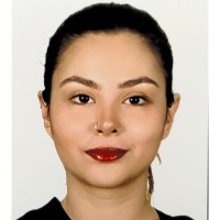 Bilge Elif Bozokluoğlu