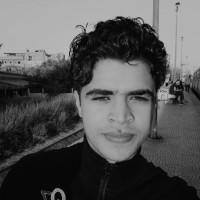 Osama Salam