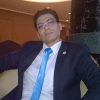 hassan hamdi