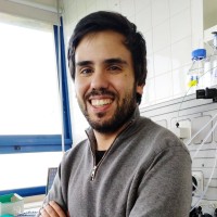Manuel Matos
