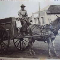 Park Carroca