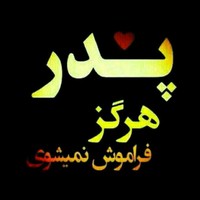 سید علی محمودی