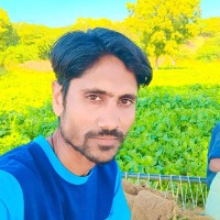 Pankaj Vagheshwari