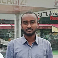 Elmustafa Sayed Ali, M.Sc, SSYB, SFC, SEC, IAENG