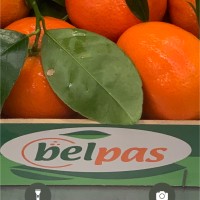 Jose Manuel Beltran montalva