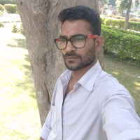 Ramsingh Rajpali