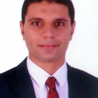 Hassan Hafez
