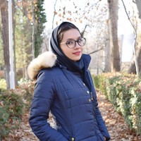 Fatemeh Hosseini