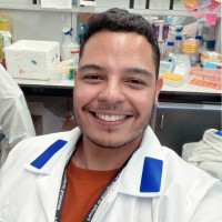 Igor Andrade Santos, Phd