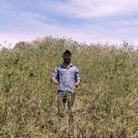 Jignesh Malvi