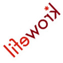 LifeWork LLC