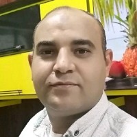 محمود المصري