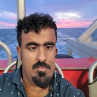 Ahmed Alkhamis