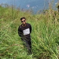 Jayaraman K