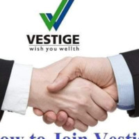 vestige netwark marketing
