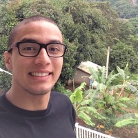 Julio Alves