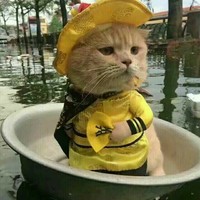 张纪发