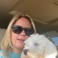 Sharon Spencer, J.D., Pmp, Csm