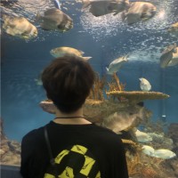 谢 Xie科邑 Darren