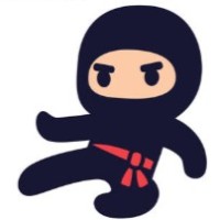 B Ninja