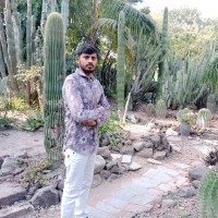 Pradeep Mewada