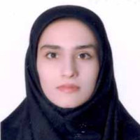 Manizheh Fatehi Peykani