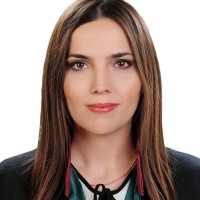 Beyza Nur Sürer