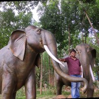 Madhusudan Reddy