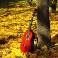 Aparna U