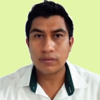 David Beltran
