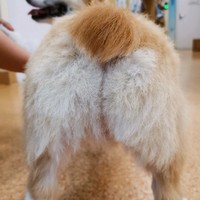 黄奕恒