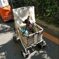 李彼得