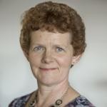 Erie Van Der Zanden