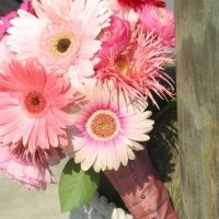 Jenny Jensweddingflowers