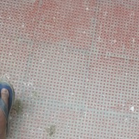 Gajendar Pal