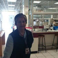 Marcela Pacheco Sanchez