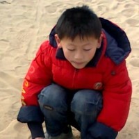 Yinglan Wang